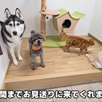 みんなでお見送り