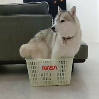 くるっと回って…