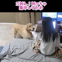 気付いてもらえた！