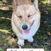 満足そうなぷりんちゃん