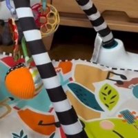音がする方を見たら…