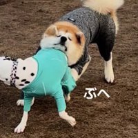 わんぱくな寿くんにぴったり