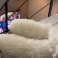 「横になりたいかも…」