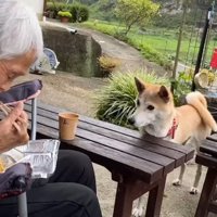 食事をしていると…