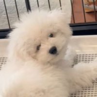 「怪しいヤツがいるよ！何とかして～」