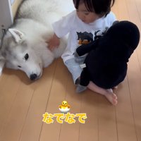 犬の顔を撫でる男の子