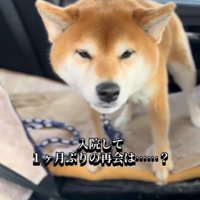 ママさんと再会