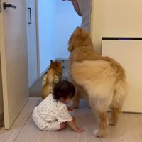 宿を楽しむ仲良し3兄妹♪
