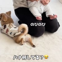 ハナちゃんと赤ちゃんたちの交流3