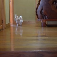 玄関から離れて、そばへ