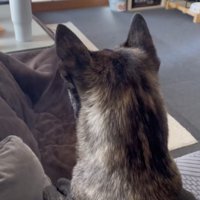 ソファでテレビ鑑賞