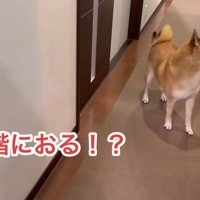 必死に探しています