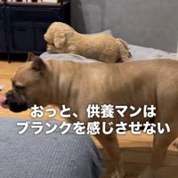 寂しくなっちゃうかな…？