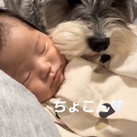 ゼロ距離で見守ります