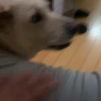 ナデナデ♡