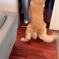 サンちゃんの熱烈歓迎6