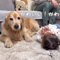 わんこと育った女の子