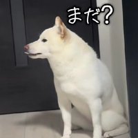 「まだ？」
