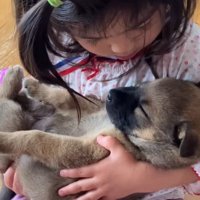 うとうと心地よさそう…