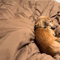 強引に入るママ