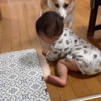 赤ちゃんを見守るまる君4