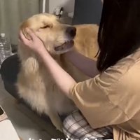 友人に顔まわりを撫でてもらう麹くん