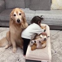 心温まるひととき