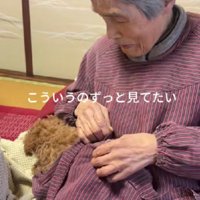 いつまでも見ていたい…