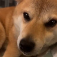 表情は最上級の喜び♡