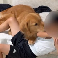 顔を近づける犬