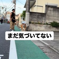 顔を上げる犬