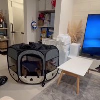 カオス状態になっていた…！