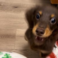 うにくんのお迎え前後のギャップ7