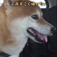 頑張ったよ！！