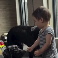 犬におやつをあげる赤ちゃん