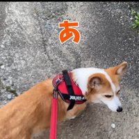「あれっ？お姉ちゃんが来ない…」