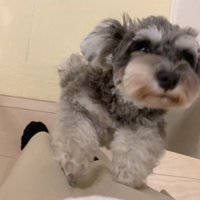「ママ、おかえり！」