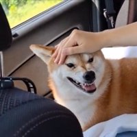 再び