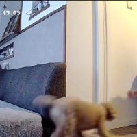 「やっぱり～！！」