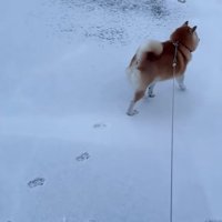 捜索を開始！！