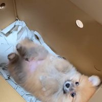 「起きられないよ～」