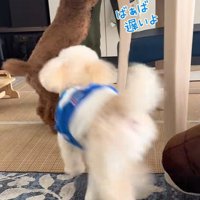 「遅いよ！待ってたんだよ～」