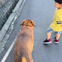 男の子を守る咲太郎くん3