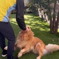 そら君とブリーダーさんの再会5