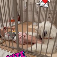 相思相愛なふたりです♡