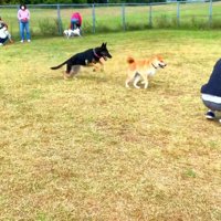 お友達もできたようです♪