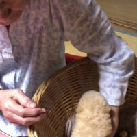 そっと抱き上げて…