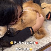 女の子に顔を抱きしめられる犬