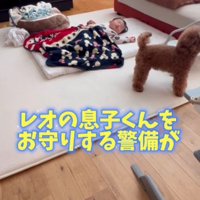 全力で警護するレオくん