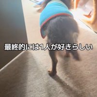 テープくんの変化⑩
